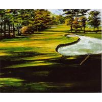 澳洲球场12F(已售出)